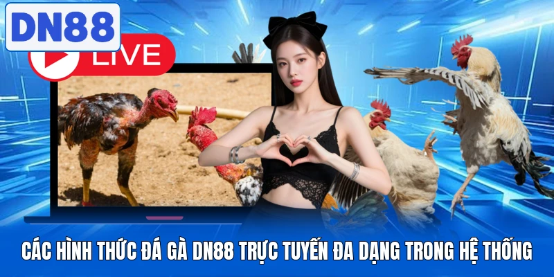 Đá Gà Dn88 - Đặt Cược Kèo Nhanh, Xem Chọi Gà Cực Đã 2 Các hình thức đá gà DN88 trực tuyến đa dạng trong hệ thống